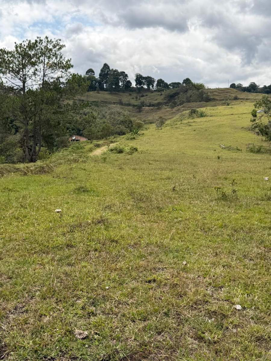 entrega